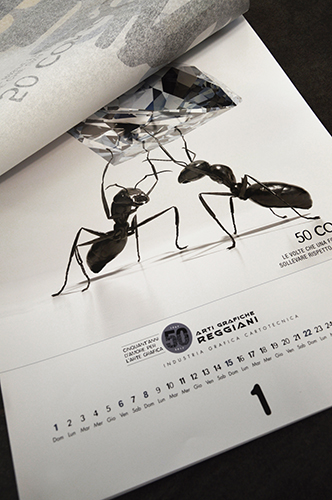 Calendario 2017 · Arti Grafiche Reggiani