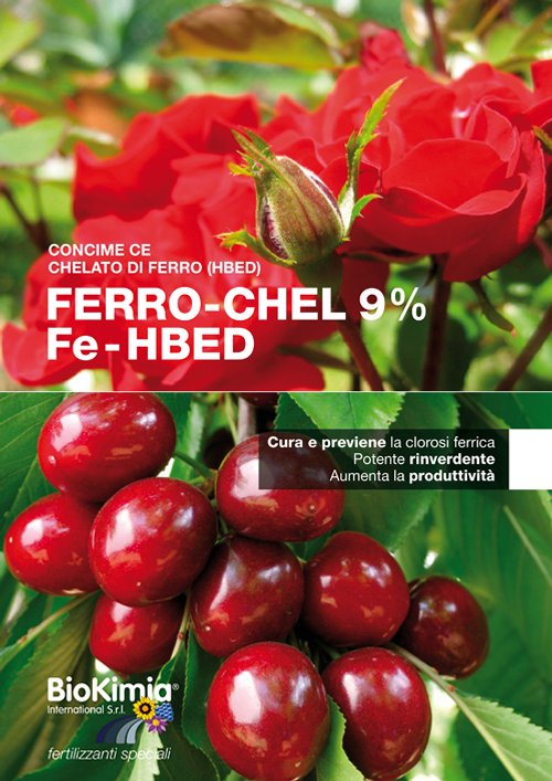 Leaflet Ferro-Chel